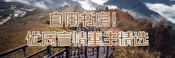 自用書房！優質言情重生精選